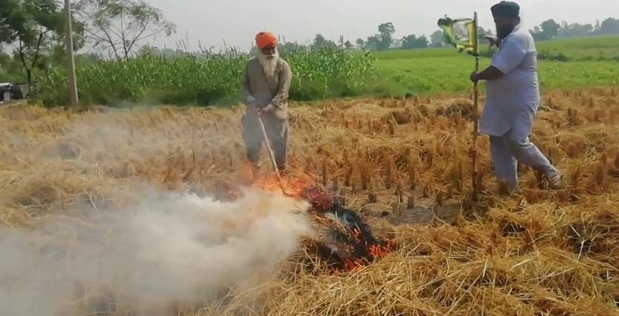 PARALI BURN KISHAN SANGRUR ...THE NEWSROOM NOW